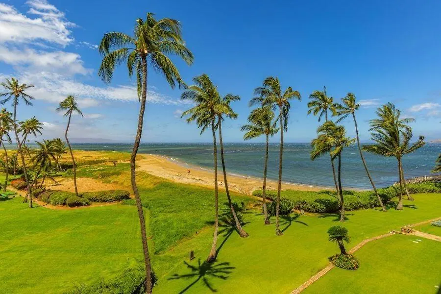 Menehune Shores #423 Condo 키헤이 아파트