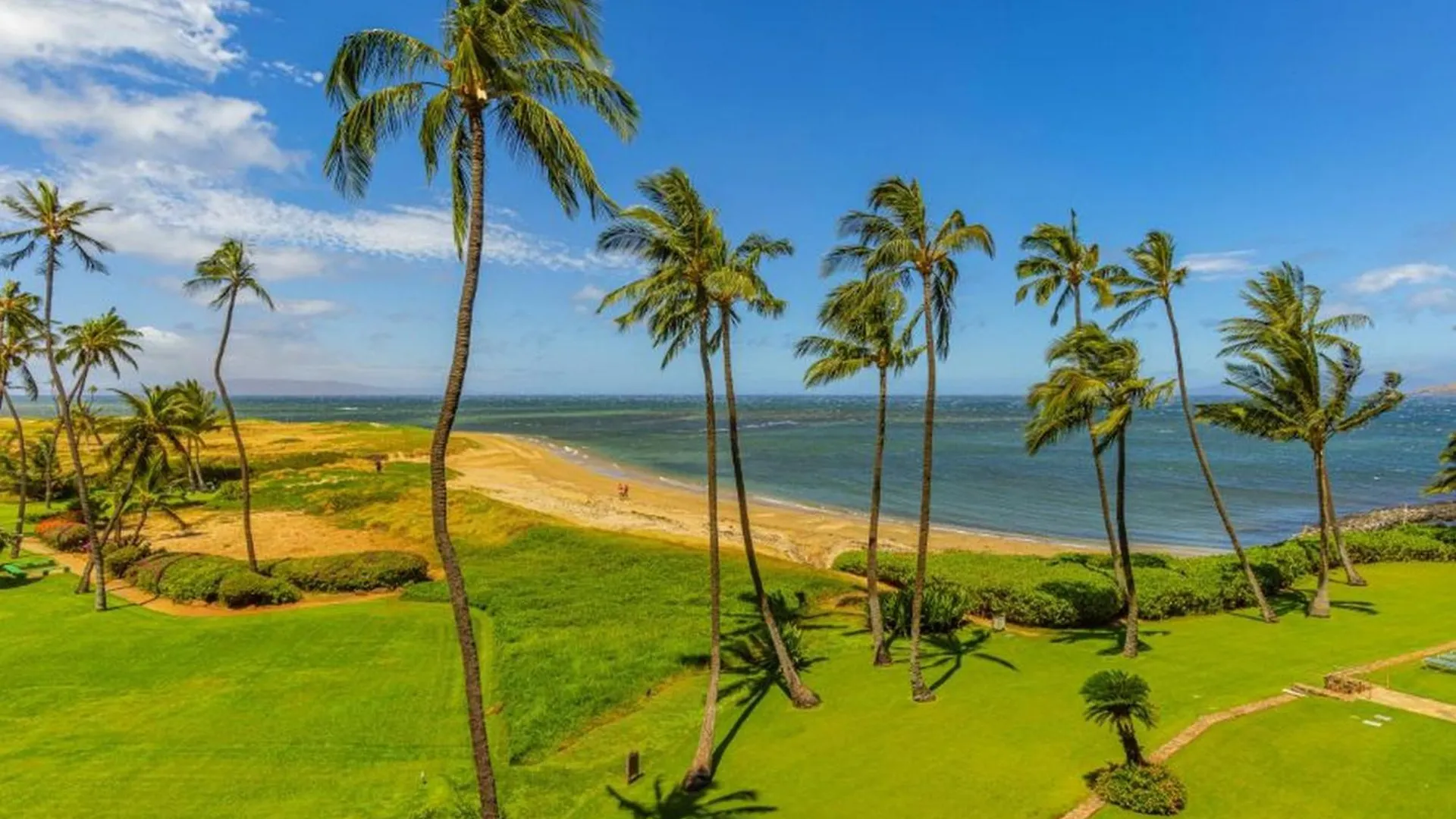아파트 Menehune Shores #423 Condo 키헤이 미국